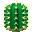 Cactus.png