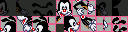 SNES Animaniacs Borders 1.png