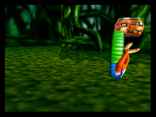 DK64-Hidden Collectible.png