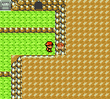 Pokemon GS SW99 Route 44 Hidden Item.png