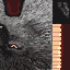 CV64 unused wolf head texture 3.png