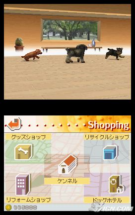 NintendogsMarch9-2005Screenshot6.jpg