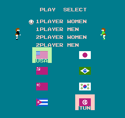 Volleyball (USA, Europe) Team Selection.png