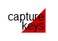 Capture keys shipoghouls.png