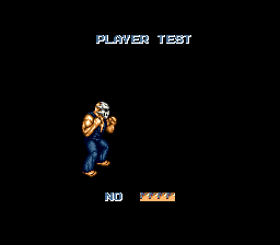 Splatterhouse3 PLAYERTEST.png