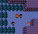Pokemon GS SW99 Route 46.png