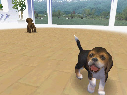 Prerelease:Nintendogs - The Cutting Room Floor