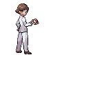 PokeBW Development Trainer RichBoy r32790.png