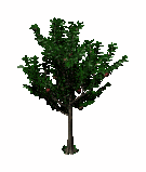 Ts1 tree3 tc.png