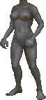 DaggerfallBODY13I0finalversion.PNG