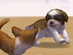 Prerelease:Nintendogs - The Cutting Room Floor