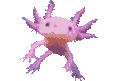 An axolotl representing Kinito.