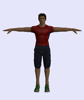 Human model.png