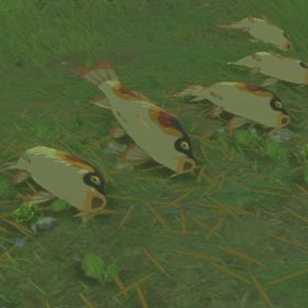 BotW-Hc-FishZ.jpg