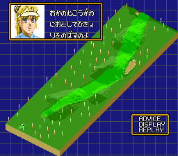 Holeinone-advice3b.png