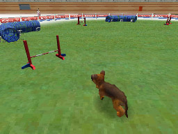 Prerelease:Nintendogs - The Cutting Room Floor