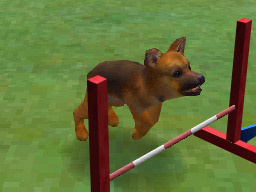 Prerelease:Nintendogs - The Cutting Room Floor