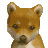 Nintendogs-IconShibaInu0.png