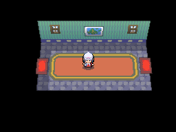 PKMN DPPT m gate02 00 00c.png