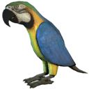 Lbp dlc potc plastic toy parrot icon.tex beta.png