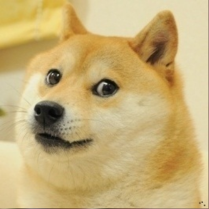 Hitman-2016-Doge.png