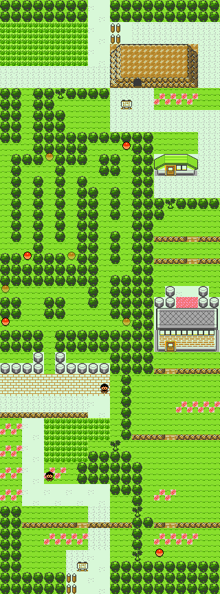 Pokemon GS SW99 Route 2.png