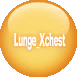 ASCSLunge Xchest.png