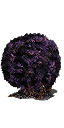 DSII-Purple Moss Clump.png