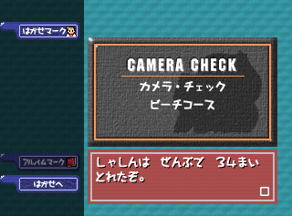 Pokemonsnap cameracheckjp.png