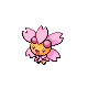 PokemonDP unused Cherrim Frame 2 Shiny.png