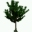 Ts1 sample trees icon.png