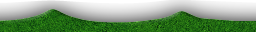 MKWii loser demo grass texture1.png