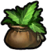 Dragon Quest Builders 2 Borrowed Medicinal Herb.png