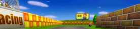 Mario-Kart-Wii-N64-Mario-Raceway-Banner.png