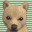 Nintendogs shiba icon.gif