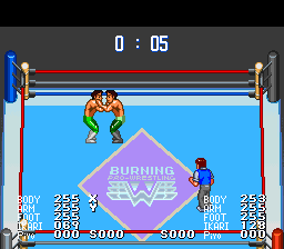 Gekitou Burning Pro Wrestling Debug Display.png