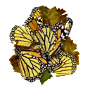 TS2AL jarbutterflies-deadbugs0 lifo 128x128.png