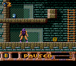 Gods SNES Paused.png