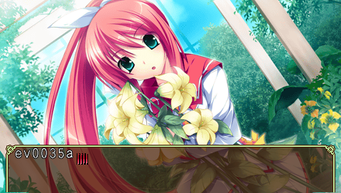 Hana to Otome PSP - Debugmenu2.png