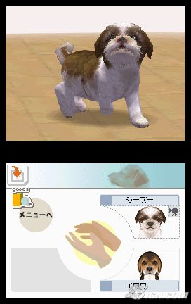 NintendogsMarch9-2005Screenshot5.jpg