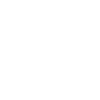 PTspiderweb.png