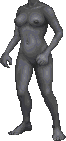 DaggerfallBODY13I0demoversion.PNG