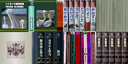 HMPMDX-Kokoro books.png