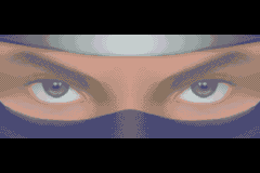 Ninjafiveo-Unused Ninja Face.png