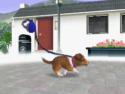 Prerelease:Nintendogs - The Cutting Room Floor