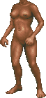 DaggerfallBODY11I0demoversion.PNG