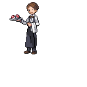 PokeBW Development Trainer Waiter r26457.png