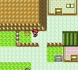 Pokemon GS SW99 Hidden Item Mahogany.png