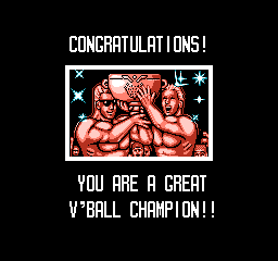 NES V-Ball ending B.png