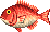 DNM+ Red Snapper PG Field Sprite.png